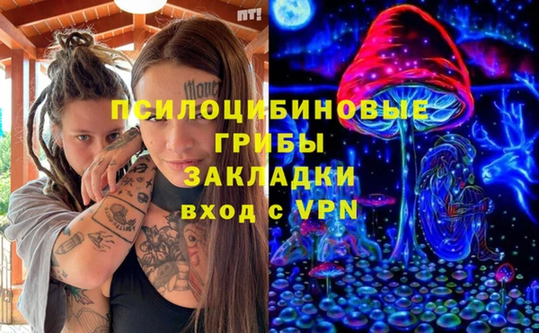 2c-b Беломорск